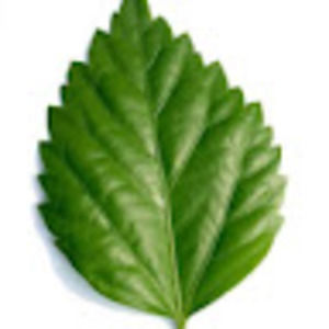 Meet your Posher, Kamaldeep